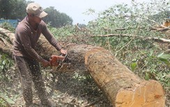 Hối hả giao mặt bằng xây sân bay Long Thành