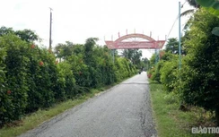 Bạc Liêu: Hoàn thành hơn 98km đường, 120 cây cầu