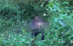 Phát hiện thi thể nam thanh niên ven QL32 với nhiều vết đâm trên người