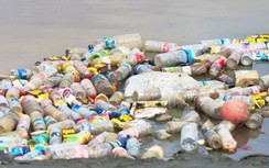 Bộ GTVT yêu cầu hạn chế tối đa sử dụng các sản phẩm nhựa dùng một lần