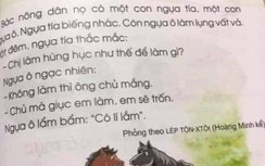 Sách Tiếng Việt 1 có vi phạm bản quyền truyện của Lev Tolstoy, La Fontaine?