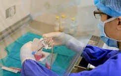 Những em bé được “tái sinh” nhờ sự kì diệu của y học