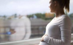 Báo động trục lợi chế độ bảo hiểm thai sản