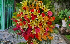 Cà Mau không nhận hoa chúc mừng Đại hội Đảng