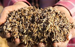 Những hình ảnh ám ảnh nơi rốn lũ Hà Tĩnh sau khi nước rút