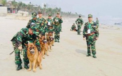 Đội chó nghiệp vụ vào hỗ trợ tìm kiếm nạn nhân mất tích tại Rào Trăng 3