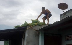 Bão số 9: Phú Yên ra công điện khẩn, Bình Định lên phương án sơ tán dân