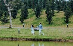 Khởi động cuộc thi ảnh nghệ thuật "Khoảnh khắc mùa thu Flamingo"