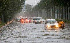 Yêu cầu không tổ chức kinh doanh vận tải trong thời gian bão số 9 đổ bộ