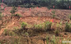 Hòa Bình: Di dời hơn 100 người dân khỏi vị trí có nguy cơ sạt lở