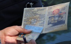 Bỏ GPLX đang bị tạm giữ để thi lấy GPLX mới được không?