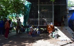 Đứng xem bắt thuốc lá lậu, người phụ nữ trúng đạn cao su