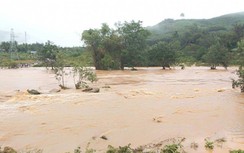 Bình Định: Hai người thương vong, nhiều nhà bị tốc mái do bão số 12