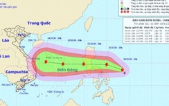 Dự báo bão số 13 - Vàm Cỏ giật cấp 15, dịch chuyển nhanh, hoàn lưu rộng
