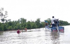 Cà Mau quyết xử lý phương tiện đánh bắt cá vi phạm trên sông