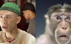 Vào vai Vi Tiểu Bảo nhưng biểu cảm giống Tôn Ngộ Không, nam chính bị ném đá