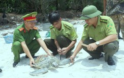 Lạ lùng huyện cấp sổ đỏ lấn Vườn quốc gia Bái Tử Long