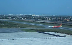 Thả trâu trong khu bay, chuyện hy hữu ở sân bay Cát Bi