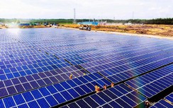 Long An: Vướng mặt bằng, dự án điện mặt trời GAIA chưa thể về đích