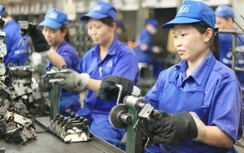 Thử việc người lao động quá thời gian, coi chừng... rước hoạ!