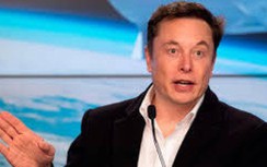 Tesla có thể cập nhật phần mềm tự lái mới trong vòng hai tuần