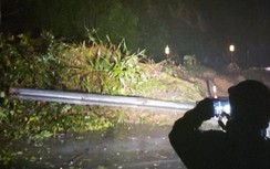 Đắk Lắk: Cả nghìn m3 đất đá sạt lở vùi lấp, QL26 tạm chia cắt