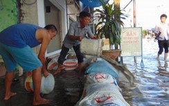 Trước kỳ họp thứ 16, cử tri Bạc Liêu gửi nhiều kiến nghị về giao thông