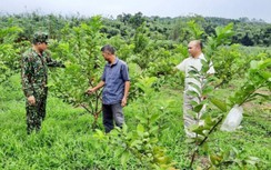 Chuyện về những cán bộ xã mang quân hàm xanh ở biên giới Quảng Ninh