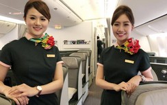 Hãng bay Đài Loan sa thải nữ tiếp viên vì không chấp hành lệnh cách ly