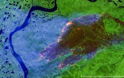 Tổng thư ký LHQ: Con người đang gây chiến với tự nhiên, hành tinh bị phá vỡ