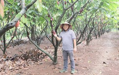 Startup Việt trầy trật vượt “bão” Covid-19