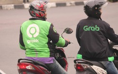 Lo độc quyền, tăng giá khi Grab và Gojek sáp nhập