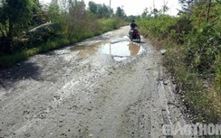 Bạc Liêu: Đường 13,5 tỷ chưa thể nghiệm thu vì đầy "ổ gà", "sống trâu"