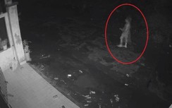 Truy tìm phương tiện tông chết người phụ nữ ở Đà Nẵng rồi bỏ trốn