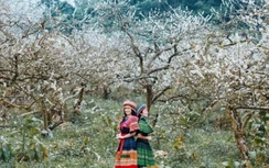 Những địa điểm đi chơi Tết Dương lịch 2021