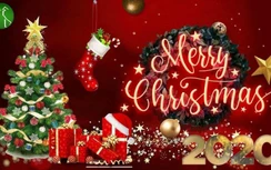 Noel 2020 ngày bao nhiêu, những điều đặc biệt về Giáng sinh