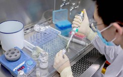 Trung Quốc cung cấp vaccine Covid-19 cho nước nghèo để làm gì?