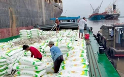 Gỡ vướng, thông luồng vận tải thủy Việt Nam - Campuchia