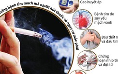 Thuốc lá là nguyên nhân hàng đầu gây các bệnh về tim mạch