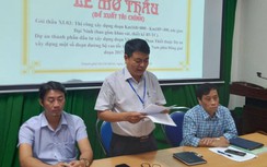 Tìm nhà thầu thi công nút giao Đại Ninh, cao tốc Vĩnh Hảo - Phan Thiết