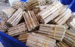 CSGT dùng ống thổi bằng tre kiểm tra nồng độ cồn tài xế