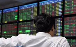 Điểm danh những cổ phiếu “hot” tăng trần liên tiếp