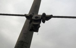 Hải Phòng: Trưởng thôn bị điện giật trọng thương khi thăm đồng