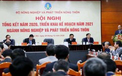 Thủ tướng: Hành vi phá rừng tự nhiên vẫn diễn ra