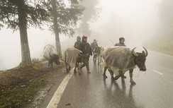 Dự báo thời tiết hôm nay 26/12: Bắc Bộ có nơi dưới 10 độ