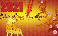 Năm 2021 là năm con gì? Người sinh năm 2021 thuộc mệnh gì?