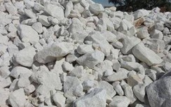 Doanh nghiệp xuất khẩu đá vôi phản ứng, Tổng cục Hải quan kết luận gì?