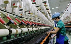 Thủy hải sản, rau quả, gạo xuất sang Anh thuế về 0% từ hôm nay 1/1/2021