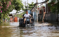 Không mưa, con đường ở TP.Thủ Đức bỗng dưng ngập nặng