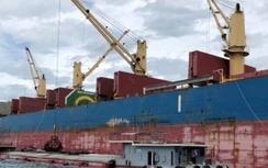 Thiệt hại triệu USD sau công văn hỏa tốc: Doanh nghiệp tính đường khởi kiện